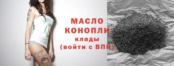 дмт Арсеньев